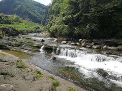 -黎坪国家森林公园