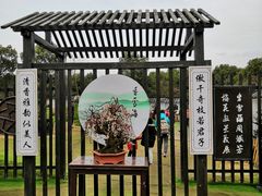 -香雪海