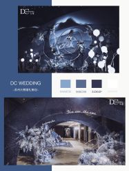 -DC大蔡婚礼策划(李公堤店)