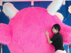 -大洋晶典(东街店)