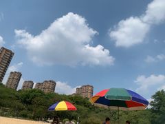 -青枫公园
