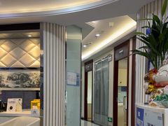 -泰康拜博口腔(世博园乐尔店)