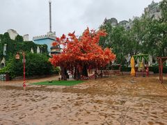 -郑州方特梦幻王国