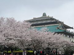 -武汉大学-樱园