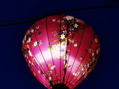 -青龙湖公园