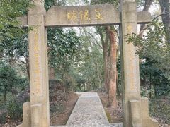 -上海佘山国家森林公园天马山园