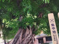 -川锅·火锅·烤肉自助餐厅