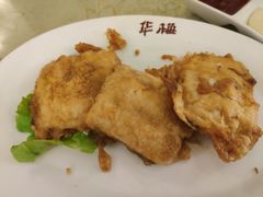 -华梅西餐厅(哈尔滨中央大街店)