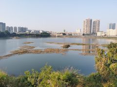 -立新湖公园