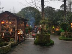 -青城甲(青城山店)