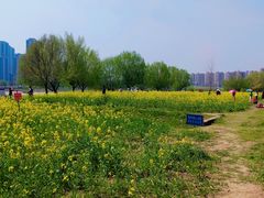 -汉江湾体育公园