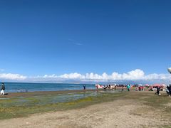 -青海湖国家重点风景名胜区
