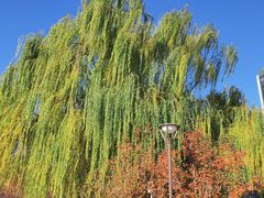 -元大都城垣遗址公园