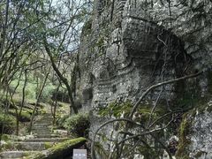 -山王坪喀斯特国家生态公园