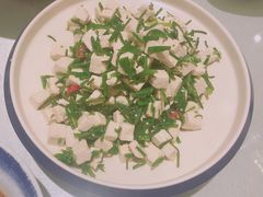 沙葱拌豆腐-宁夏国强手抓羊肉·清真菜(未央路凤三店)