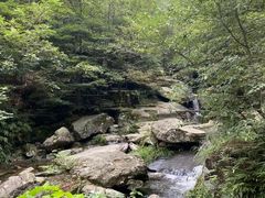 -紫鹊界梯田景区