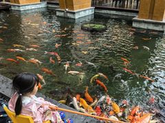 -三亚湾海居铂尔曼度假酒店