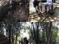 -火炉山森林公园