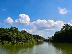 -广州白江湖森林公园