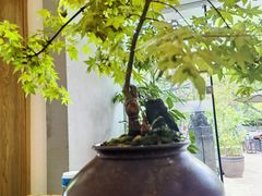 -往来·竹里.宝宝宴.生日宴.团建.宴席(花乡农居店)