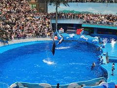 -海合安成都极地海洋公园