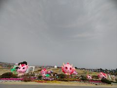 -空港花田景区