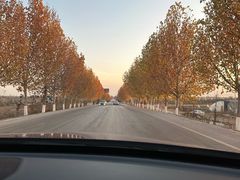 -凤膳轩·天麻土鸡汤滋补火锅(大明宫西店)