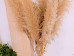 景观位-茶庐(百花洲路店)