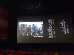 -金逸影城(武汉人信汇IMAX店)