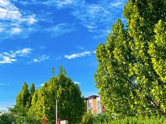 -天津东丽湖风景区