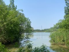 -翠湖国家城市湿地公园