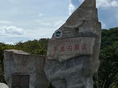 -茅兰沟国家森林公园