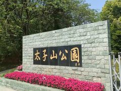 -太子山公园(园东路)