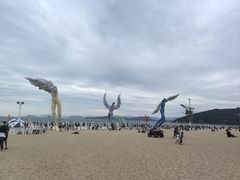 -大梅沙海滨公园