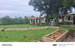 -DORA kids 朵拉儿童摄影花园店