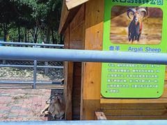 -长白岛森林公园