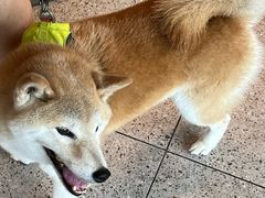 -星巴克(深圳龙华红山6979店)