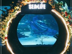 -沈阳海洋探索中心