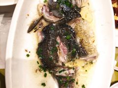 -顺意·顺德家乡菜(国际人才大厦店)