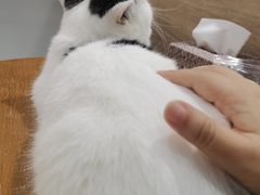 -藏猫猫咖啡主题馆(中央大道店)