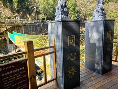 -长谷洞天