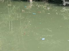 -将军关探险漂流