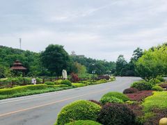 -棒棰岛宾馆景区
