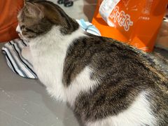 -MARSMART PETS火星宠物超市(1733店)