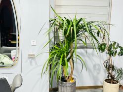 -靓典造型护肤SPA