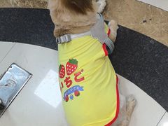 -芭比堂动物医院(广州爱宠下渡路分院)