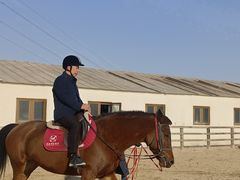 -北京群众马术培训基地