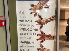 -奥利弗·雷金纳德·坦博国际机场