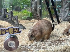 -珠海海泉湾神秘岛亲子乐园