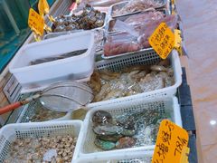 -金沙滩海鲜餐厅·海肠捞饭·手工水饺(梅江龙水园店)